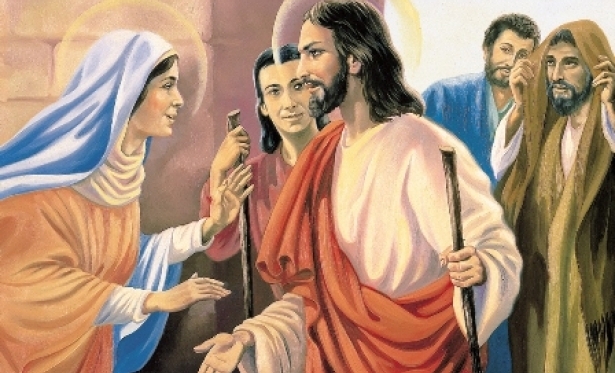 Evangelho (Mt 12,46-50)