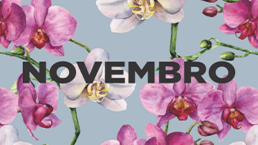 Mês de Novembro
